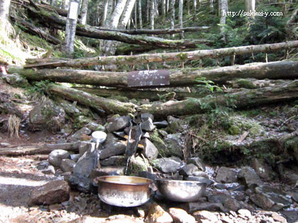 網笠山　乙女の水