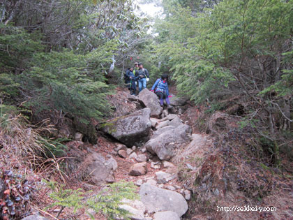 網笠山　下山