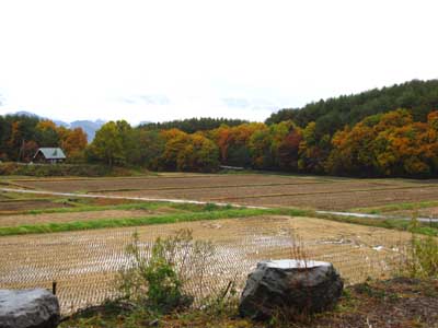 山梨県北杜市清里