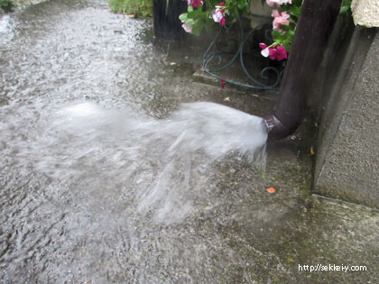 一般雨水排水（縦樋）