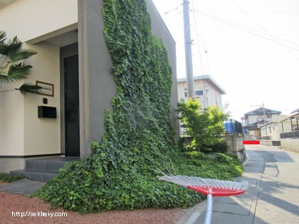 道路の掃き掃除