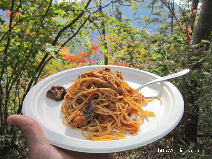 ナチュラルグレースの山頂パスタ