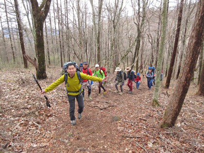 横尾山　登山道